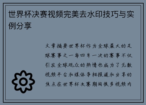 世界杯决赛视频完美去水印技巧与实例分享