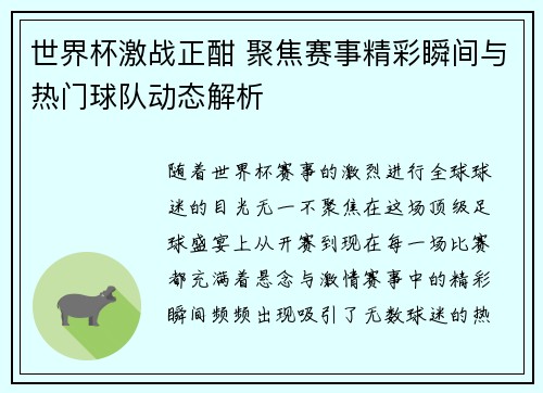 世界杯激战正酣 聚焦赛事精彩瞬间与热门球队动态解析